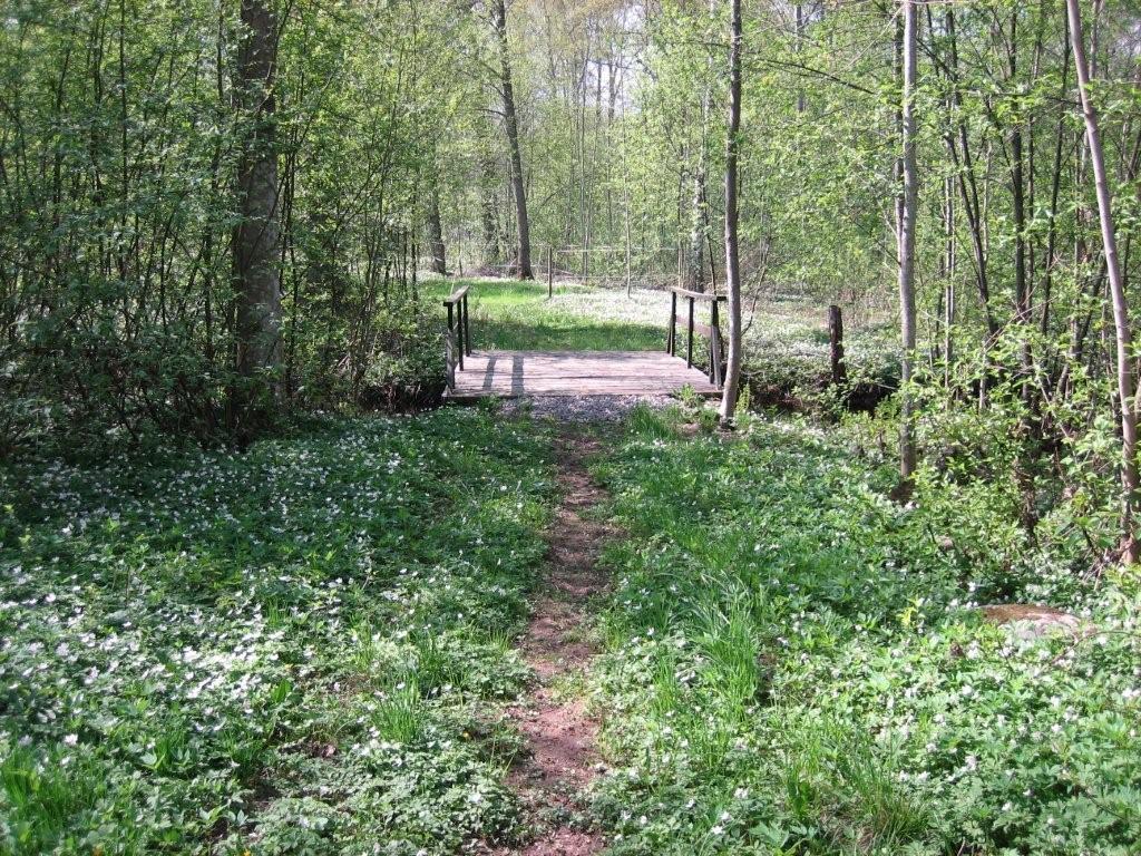 Festplatsen Brogårdsängen i Trekanten