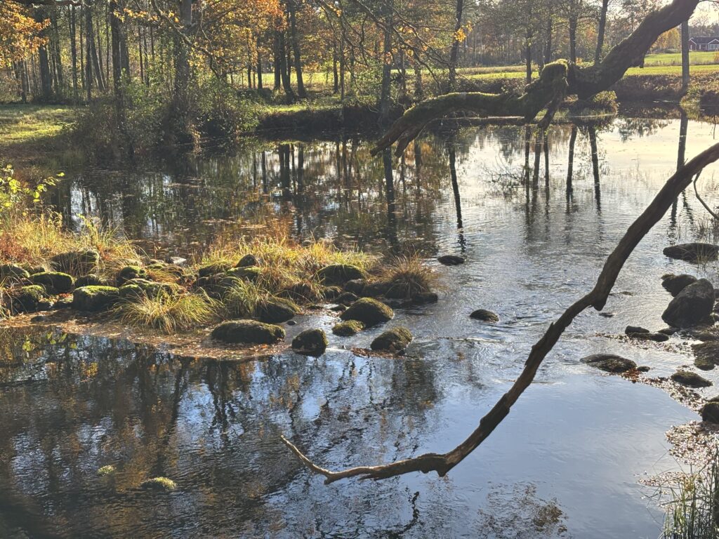 Drakagöl i Källstorp